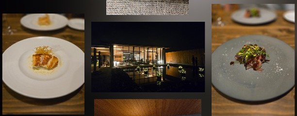 NOUNIYELL[ノウニエール]