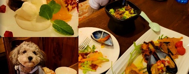 TRATTORIA　葡萄房　by THE CAMEL