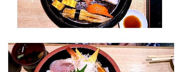 武田丸