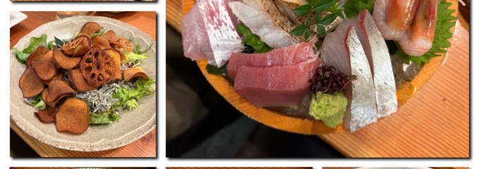 旬魚季菜 とと桜