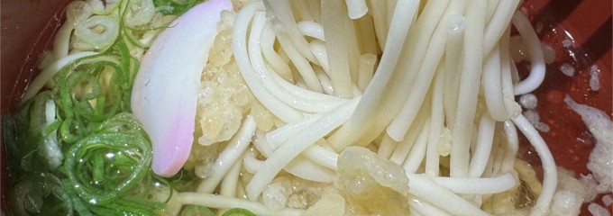 五島うどん　つばき