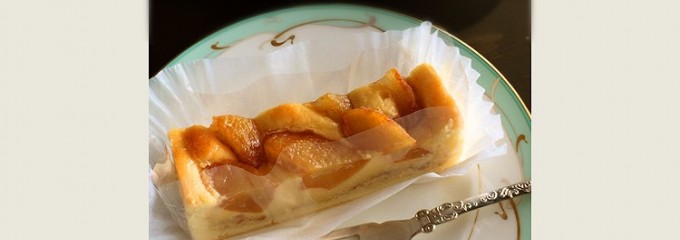 こんぱる