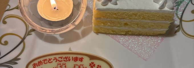 豊田甲羅本店