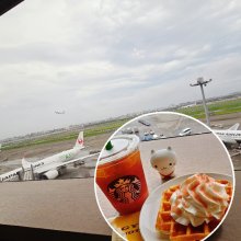 madaranさんの写真