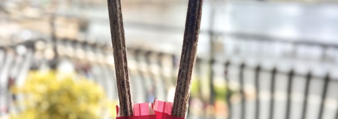 東京ディズニーシー ザンビーニ・ブラザーズ・リストランテ