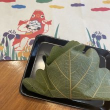 kota_konaさんの写真