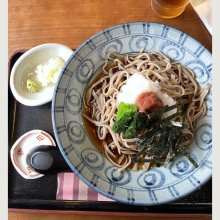 soranyan22さんの写真