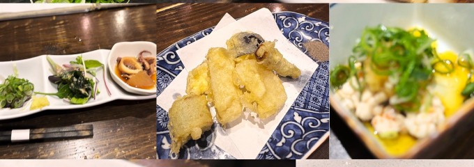 炭火魚・旬彩料理　坂本