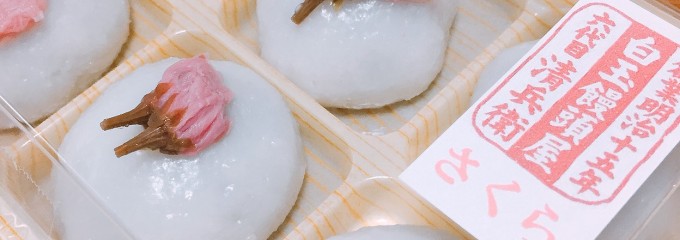 白玉饅頭　元祖 吉野屋