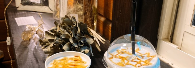 サンタクロースの森 サンタヒルズ