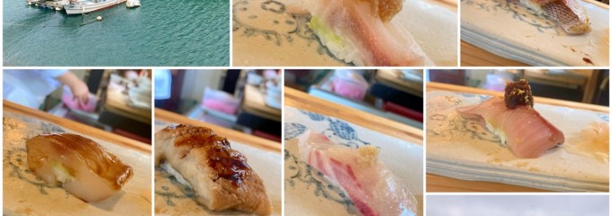 海月