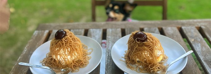 タノシックリゾート