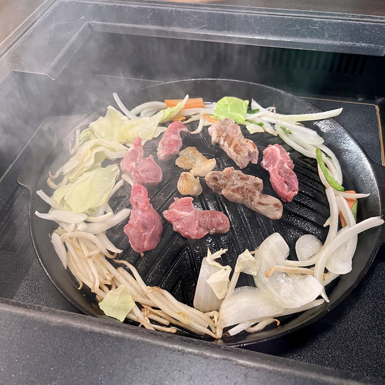 活動歴および当時の関連ビジュアル記録