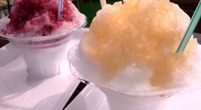 天満屋 岡山店 物産展