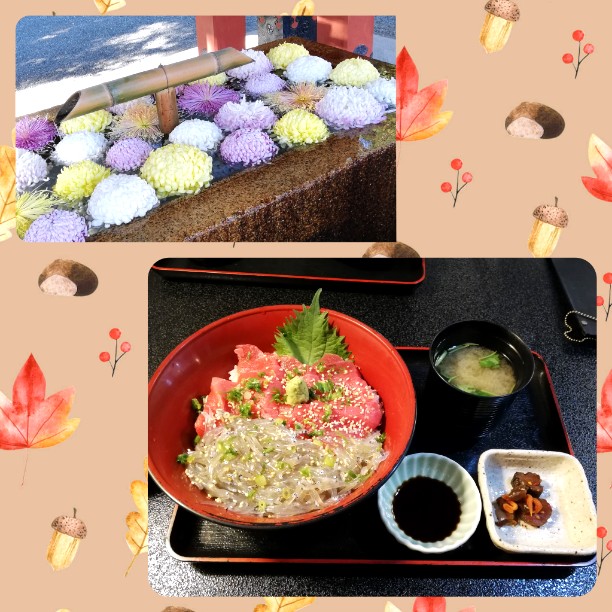 和食処ふくろう 鎌倉 逗子 葉山 鎌倉 丼もの