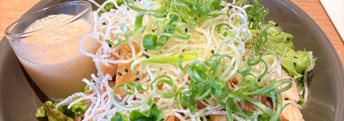 RHC ロンハーマン大阪店