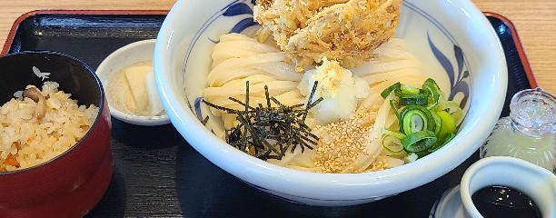 とり天ぶっかけと鴨釜うどん 麺匠 やしま