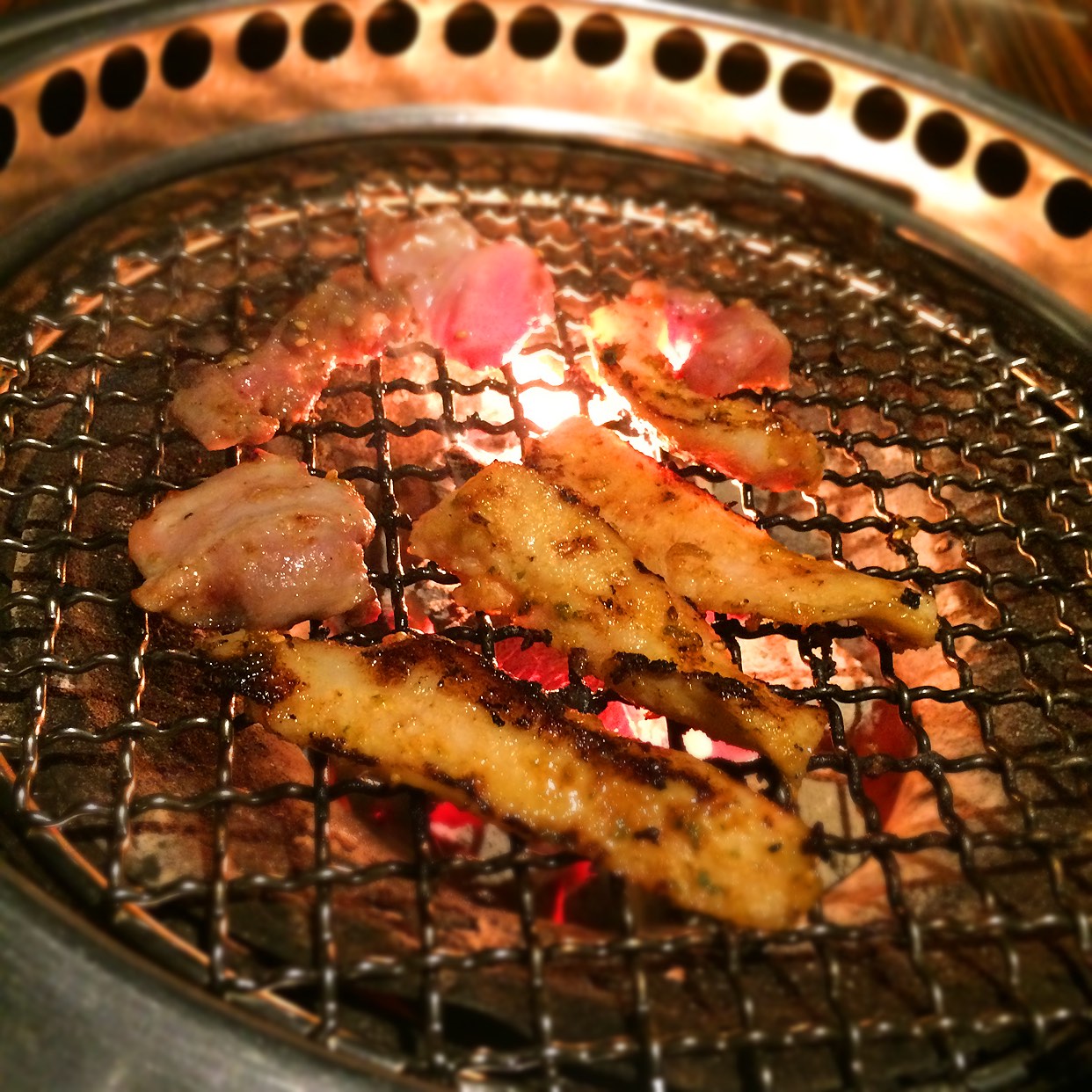 gaja すすきの 店