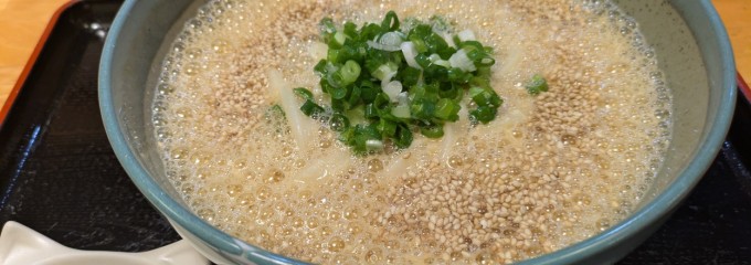 うどん・やました