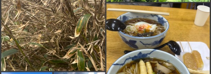 酸ヶ湯そば　鬼面庵