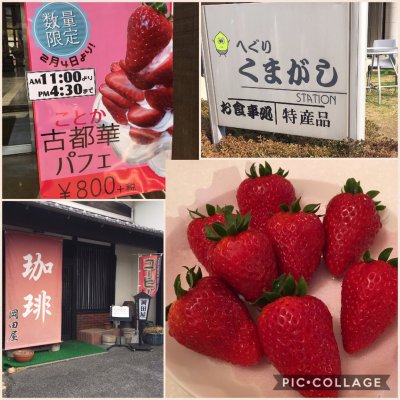 道の駅 大和路へぐり くまがしステーション 果物
