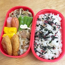 haru4137さんの写真