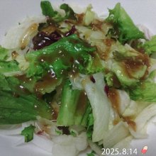 msy0730さんの写真