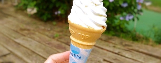 南が丘牧場