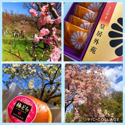 平岡公園梅林 アイスクリーム 平岡公園梅林 アイスクリーム
