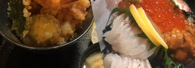 いか食堂