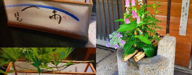 菓游 茜庵 本店