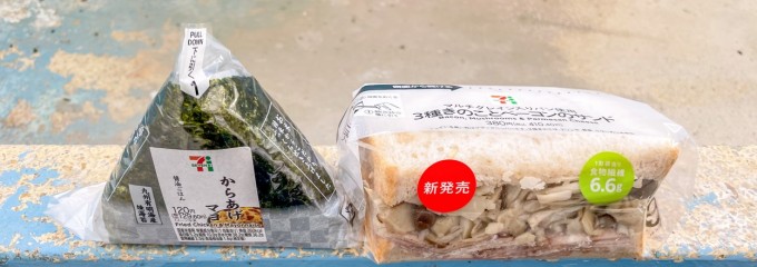 セブン-イレブン 水戸下国井町店