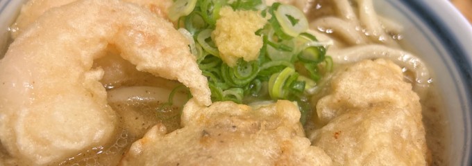 自家製生うどん 饂飩頑陣