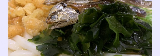 つくもうどん塩小路本店