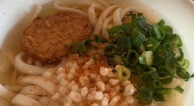 やぶ金 鹿児島市 水族館口 うどん