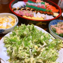 yujisetさんの写真