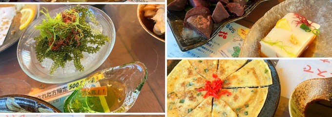 純沖縄料理 三線の花