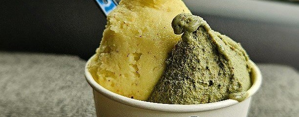 GELATERIA yuwa