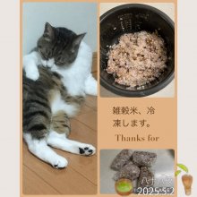 Baaba_dietさんの写真