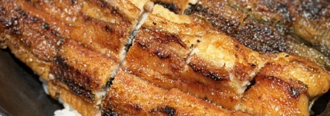 地焼鰻寝床 中目黒店