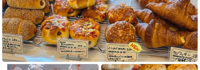 サリュ アンシャンテ 本店