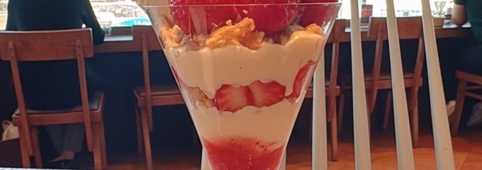 キャンベル・アーリー 福岡空港店