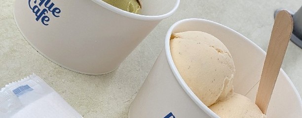 gelato pique cafe 佐野プレミアム・アウトレット店