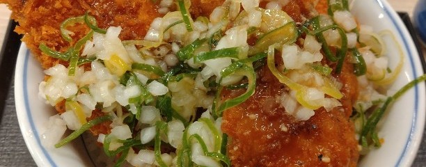 かつや 奈良尼ヶ辻店
