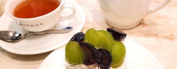 アンテノール 小倉井筒屋店