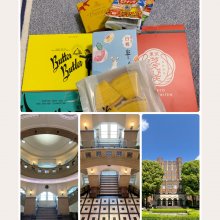 izumomoさんの写真