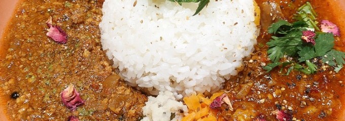 spice up spot
