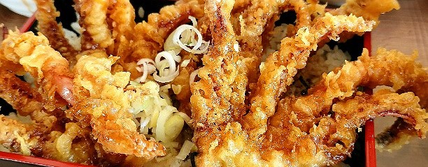 イカ恋食堂 ごはん亭
