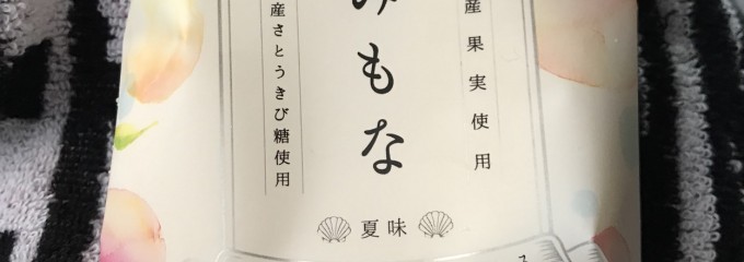 MINISTOP 波志江PA下り店