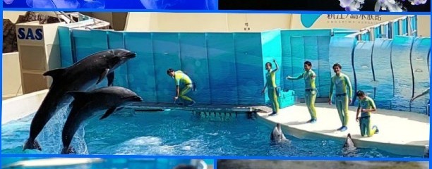 新江ノ島水族館